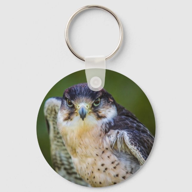 Peregrine Falcon Keychain (Front)