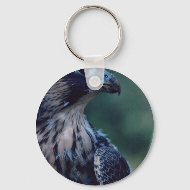 Peregrine Falcon Keychain (Front)