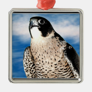 Peregrine Falcon Metal Ornament