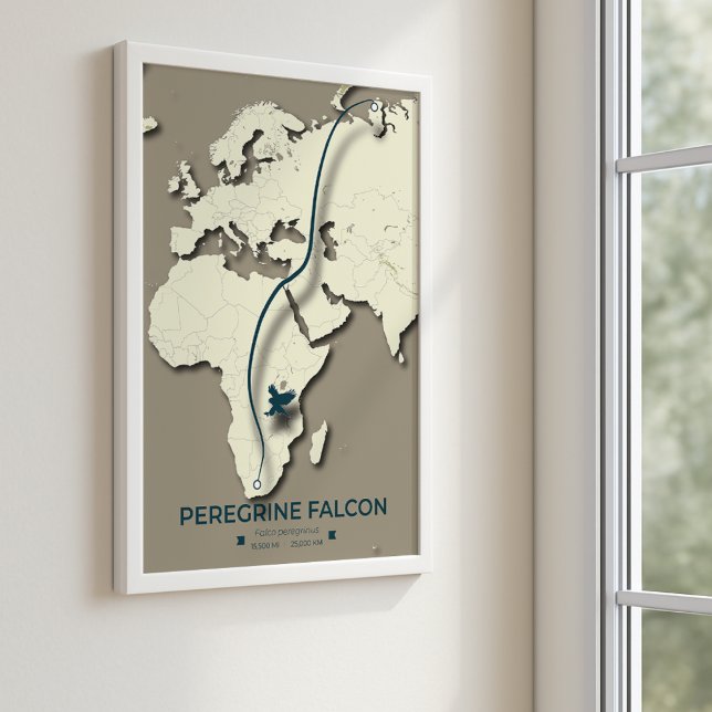 Peregrine Falcon Migration Map – Minimalist Poster (Creator Uploaded)