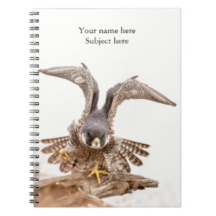 Peregrine Falcon Notebook