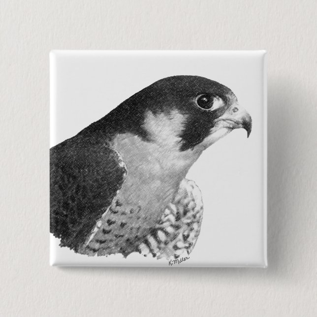 Peregrine Falcon-Pencil 2 Inch Square Button (Front)