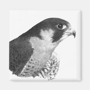 Peregrine Falcon-Pencil Magnet