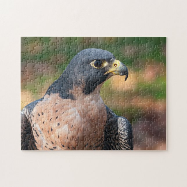 Peregrine Falcon Profile Jigsaw Puzzle (Horizontal)