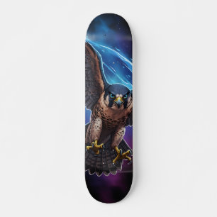 Peregrine falcon  Skateboard