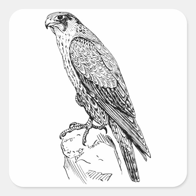 Peregrine Falcon Square Sticker (Front)