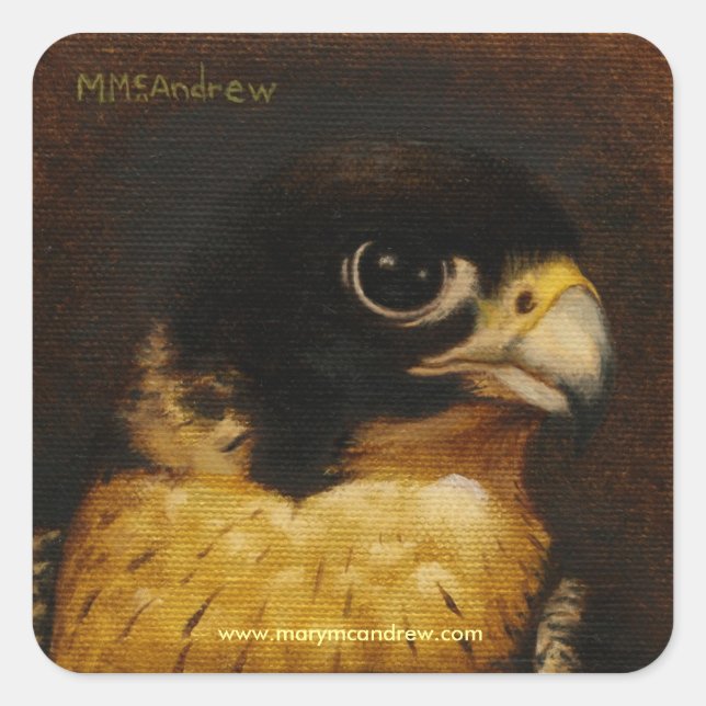 "Peregrine Falcon" Thank You stickers (Front)