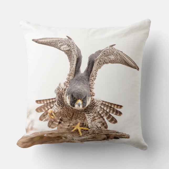 Peregrine Falcon Throw Pillow (Front)