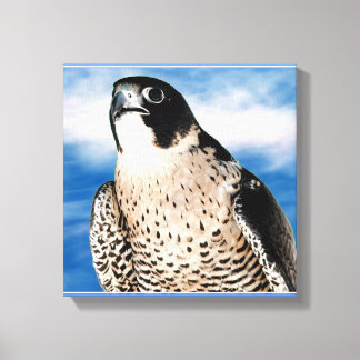 Peregrine Falcon Wrapped Canvas Print