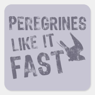 Peregrines Like It Fast Square Sticker