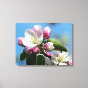 Perfect Apple Blossom WrappedCanvas (Gloss) Canvas Print