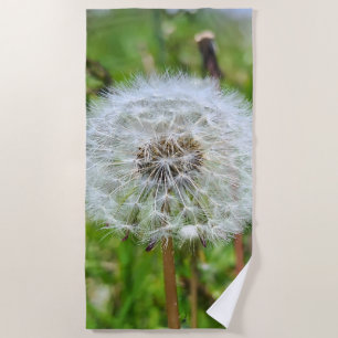 Perfect Dandelion – Botanical Macro Photography Beach Towel