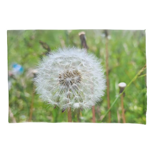 Perfect Dandelion – Botanical Macro Photography Pillowcase (Front)