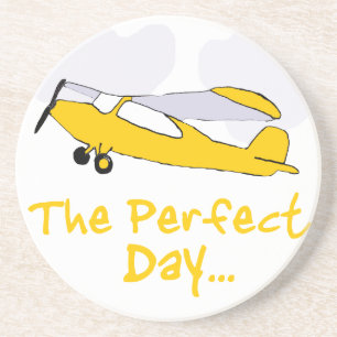 Perfect day flying airplane coaster