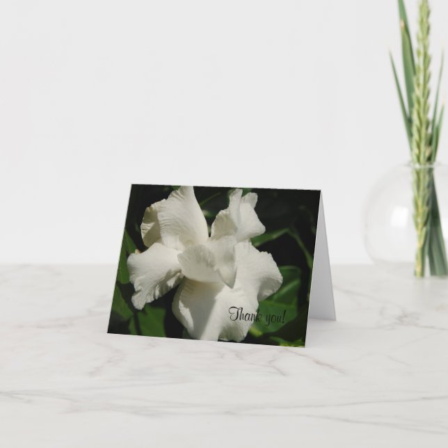 Perfect Gardenia Thank You Card (Front)