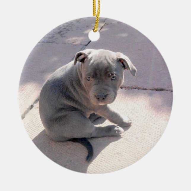 Perfect gift for the staffordshire bull terrier lo ceramic ornament (Front)