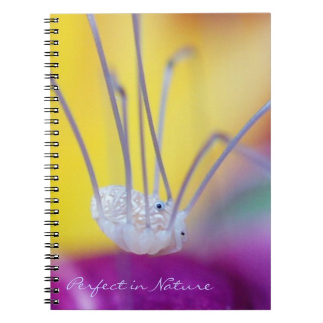 Perfect in Nature Notebook (Front)