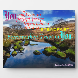 Perfect Peace Plaque. Plaque