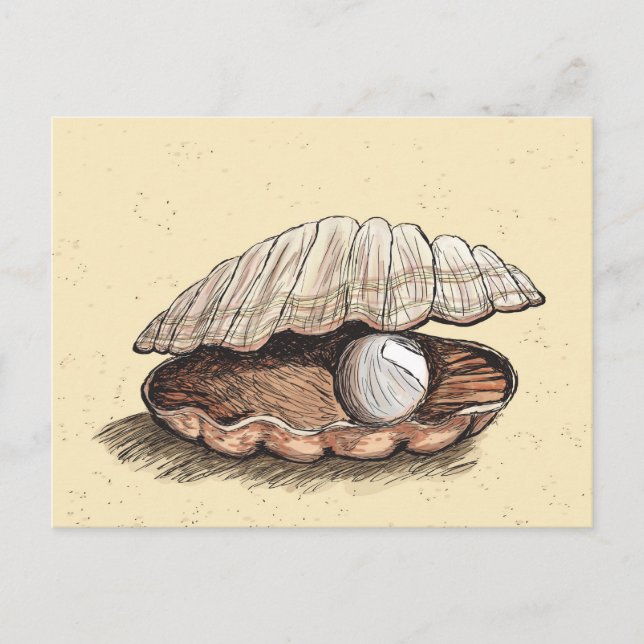 Perfect Pearl Seashell Postcard (Front)