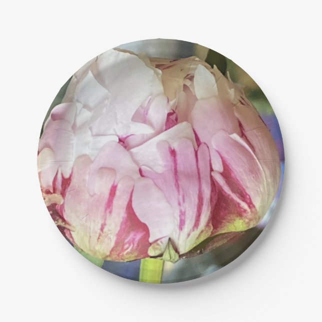 Perfect Peony Paper Plates (Front)