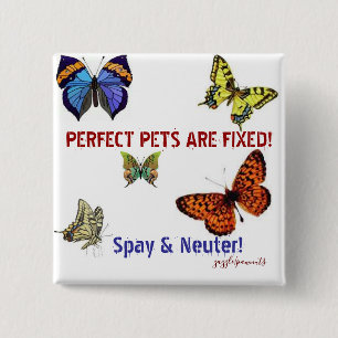 Perfect Pets are Fixed 2 Inch Square Button