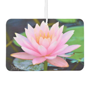 Perfect Pink Beauty Air Freshener