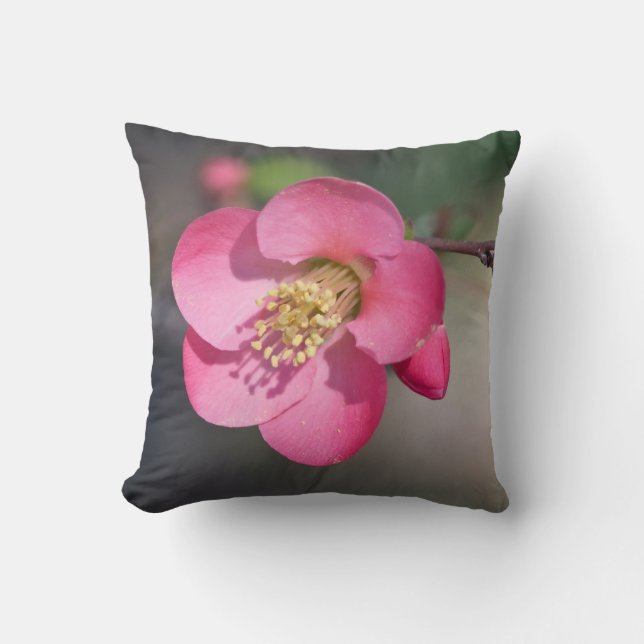Perfect Pink Flowering Quince Throw Pillow (Front)