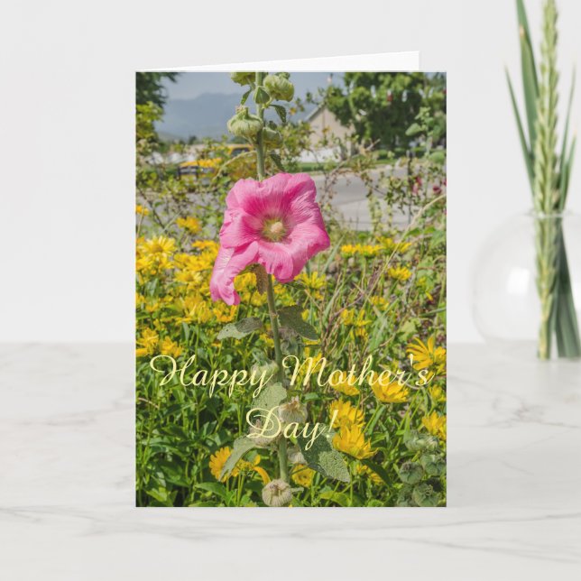 Perfect Pink Hollyhocks (Althaea) Card (Front)