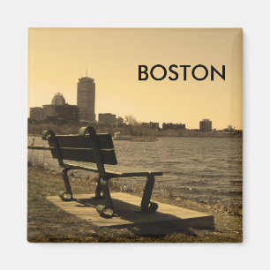 Perfect place to view the Charles Magnet