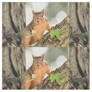 Perfect pose fabric