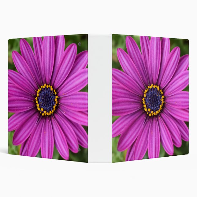 Perfect Purple Flower Head Binder (Background)