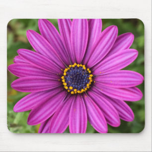 Perfect Purple Flower Head Mouse Pad