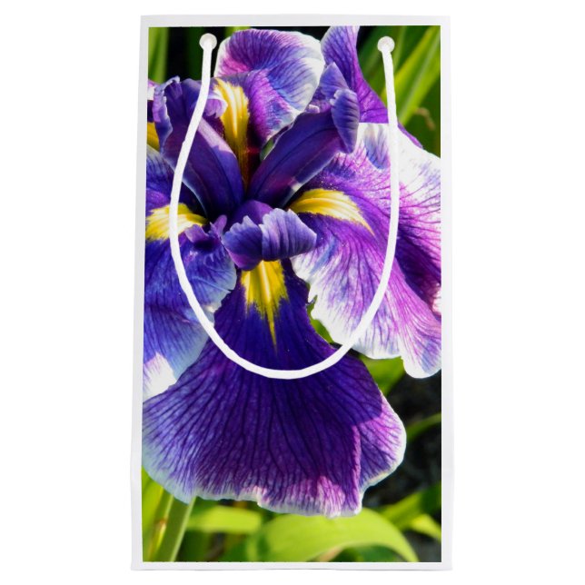Perfect Purple Iris Gift Bag (Front)