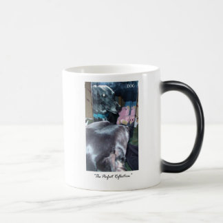 Perfect Reflection - God / Dog Magic Mug