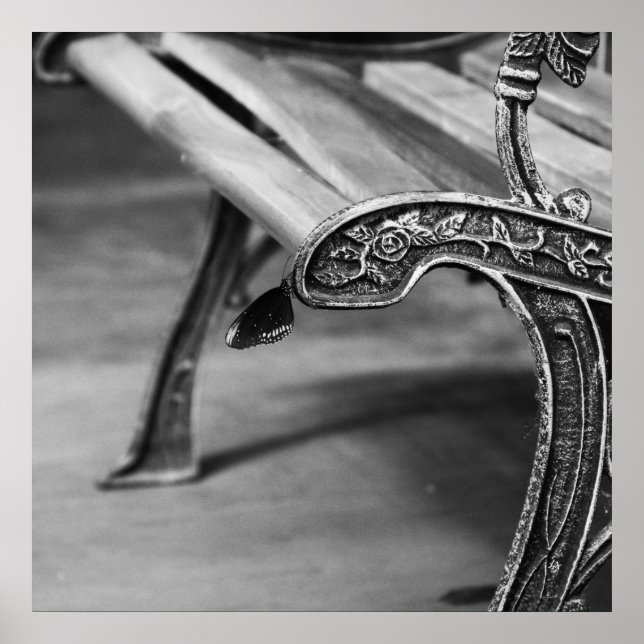 Perfect Resting Spot Poster (Front)