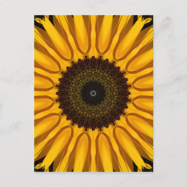 Perfect Sunflower Postcard (Front)