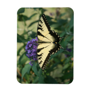 Perfectly Aligned Butterfly Magnet