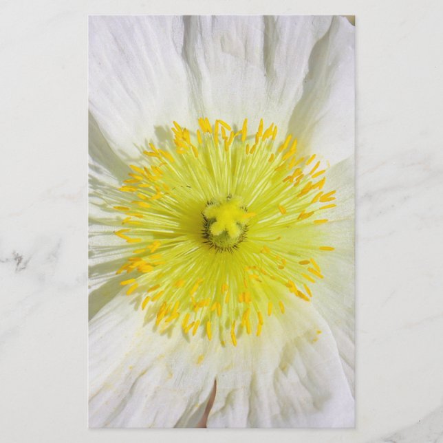 Perfectly Poppy  Stationery (Front)