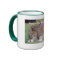 Perfectly Sane Cat Lady Mug