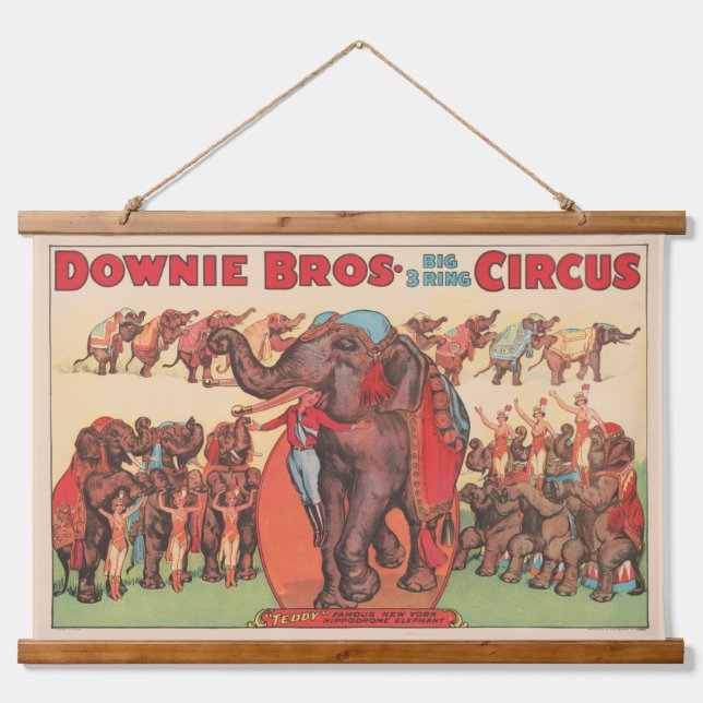 Performing Elephants With Women And Trainer. Hanging Tapestry (Front)