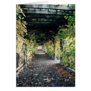 Pergola d'automne