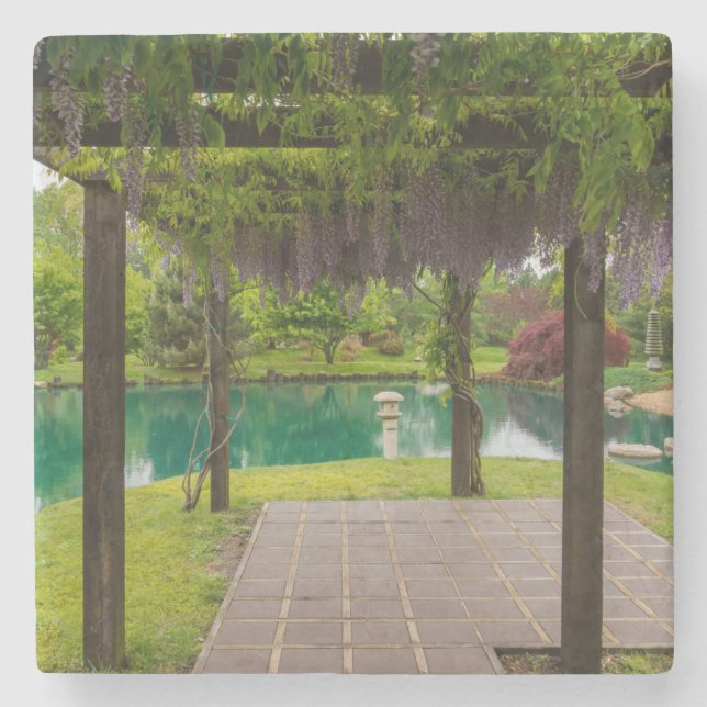 Pergola Of Wisteria Stone Coaster (Front)