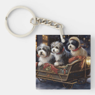 Période des Fêtes de Noël Havanaise