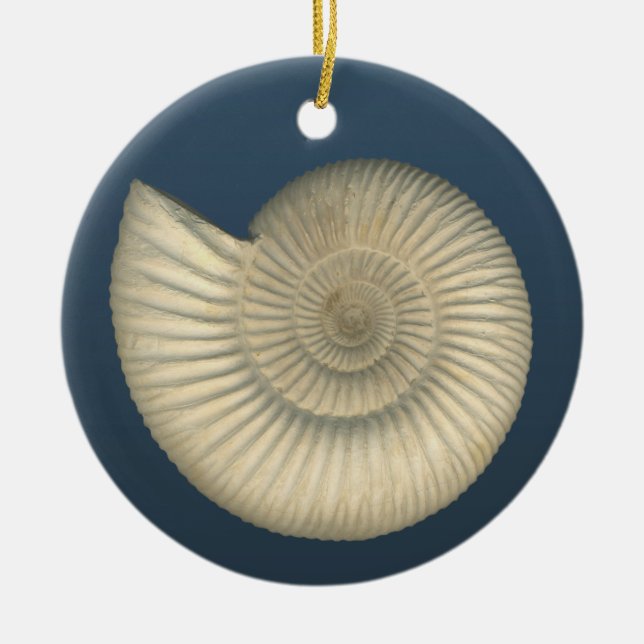 Perisphinctes Ammonite Ceramic Ornament (Front)