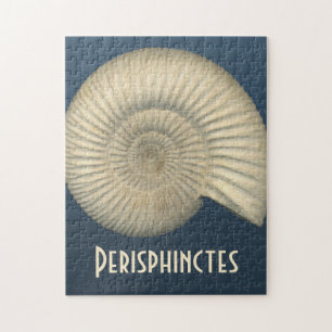 Perisphinctes Ammonite Jigsaw Puzzle