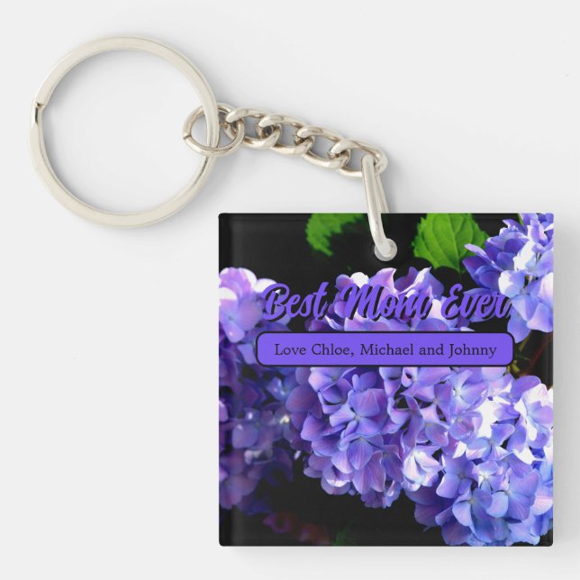 Périwinkel hydrangeas violet fleurs bleu meilleur  (Devant)