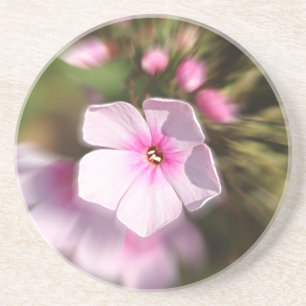 Periwinkle Coaster