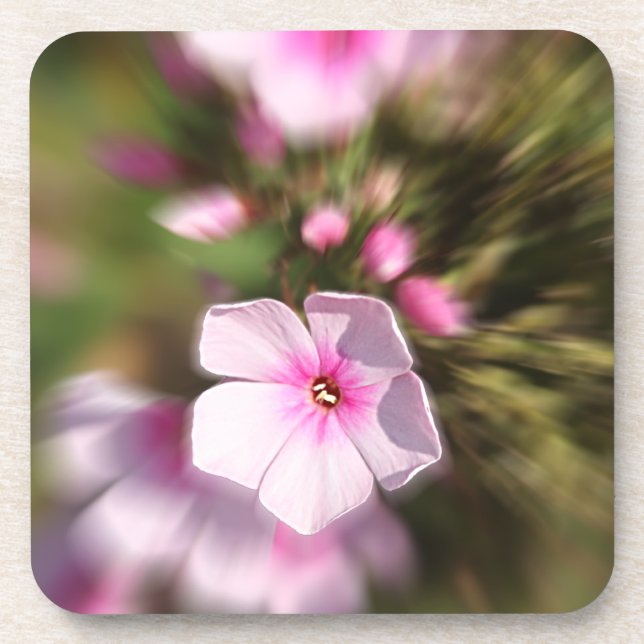 Periwinkle Coaster (Front)