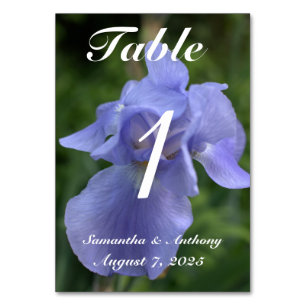 Periwinkle Floral Wedding Table No. Cards