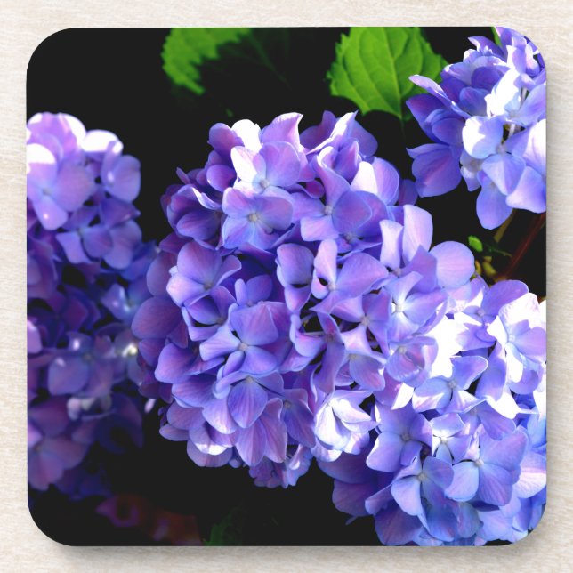 Periwinkle Hydrangeas Coaster (Front)